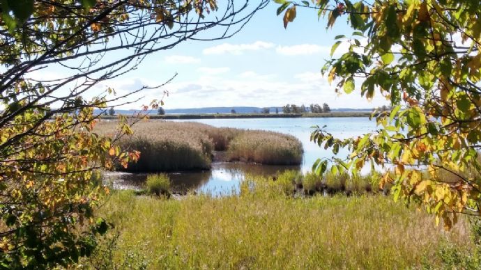 Bodden